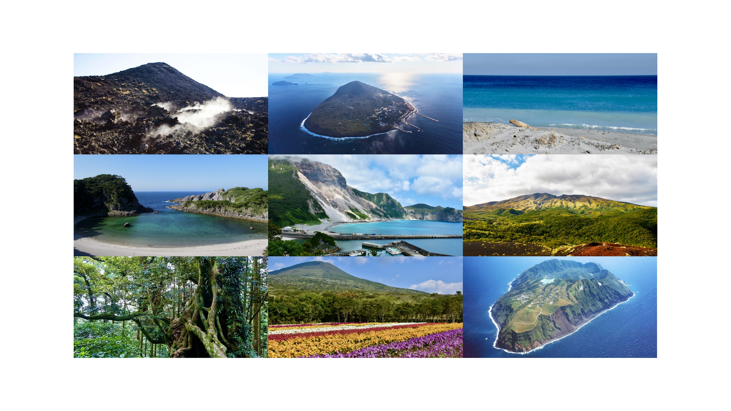 tokyo islands